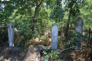 6 – Detaliu cimitirul musulman, 2023 (Arhiva INP)